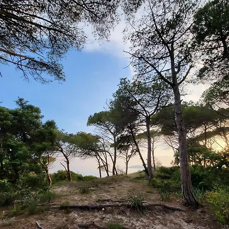 Seaside Escape To In Sardinia ألغيرو