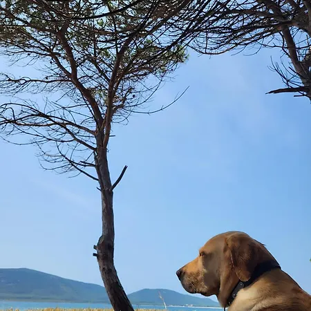 Seaside Escape To In Sardinia