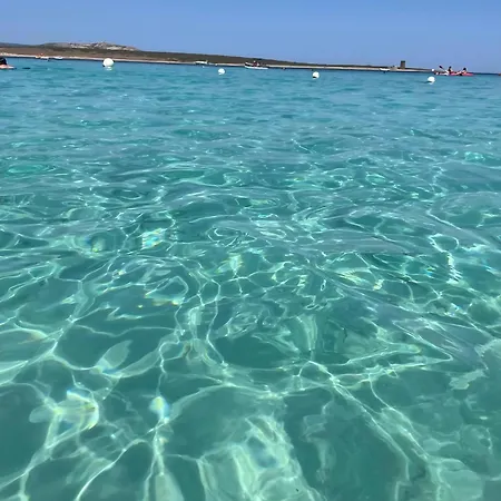 Seaside Escape To In Sardinia Appartement Alghero